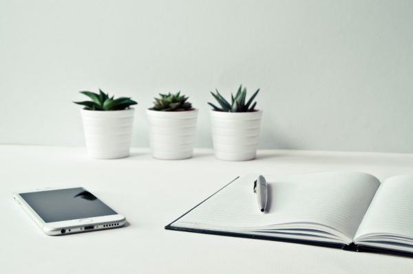 The Eco-Friendly New Year’s Resolutions That Will Actually Make a Difference