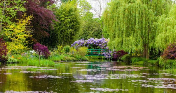 Why Garden Lovers are Planning Trips Around 2026 Milestones