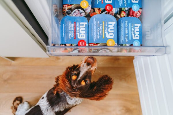 The UK’s First Ever Range of Ready Meals for Dogs