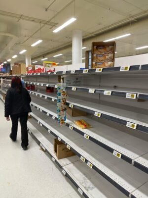 Out Of Stock: How Your Company Can Avoid Stockouts