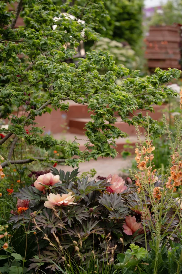 RHS Chelsea Flower Show 2026: Key Garden Trends and How to
