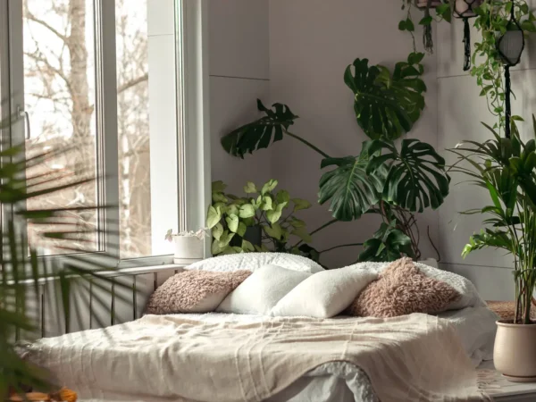 The Best Plants for the Bedroom: Get Better Sleep