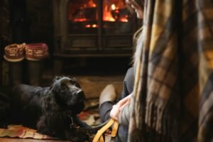 The Best Way to Spend a Weekend in Scotland With Your Dog