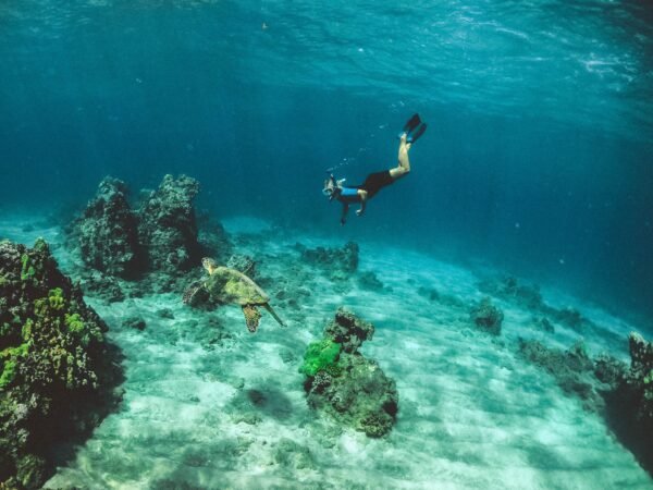 Holidays for Thrill Seekers: An Ultimate Guide